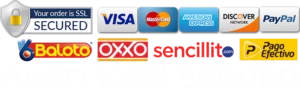 pago-seguro-300x92-1